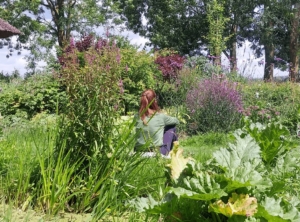 natuurcoaching Wijdenes.