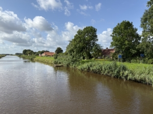 activiteiten-september-buurtbij-natuur-foto.jpg